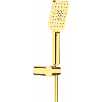 Deante Anemom, ručná sprchová súprava s pevným nástenným držiakom, zlatá lesklá, DEA-NGA_Z41K