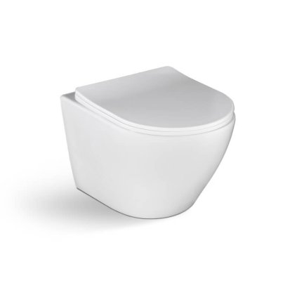 Laveo Desna, závesná WC misa Rimless 485x370x320 mm + toaletné sedadlo, biela lesklá, LAV-VMD_600S