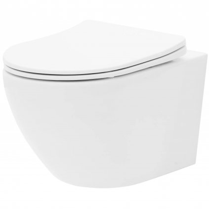 Rea CARLO mini - rimless závesná WC misa 49x37 s pomaly-padajúcim sedátkom ABS, biela, REA-C6200