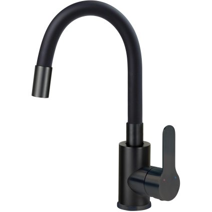 Deante Neo, umývadlová batéria s flexibilným ramenom h-310, čierna matná, DEA-BLU_N24M