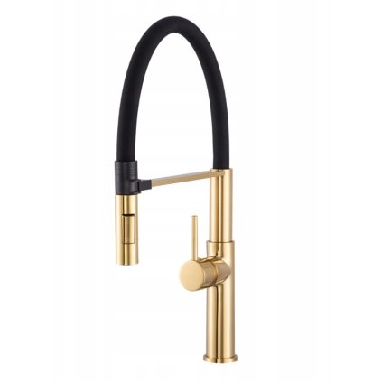 GammaVento blackgold 1