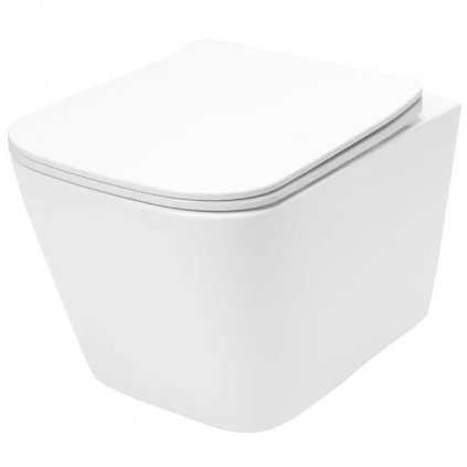 Rea Raul, závesná WC misa 49x34 s pomaly-padajúcim toaletným sedadlom, biela, REA-C9660