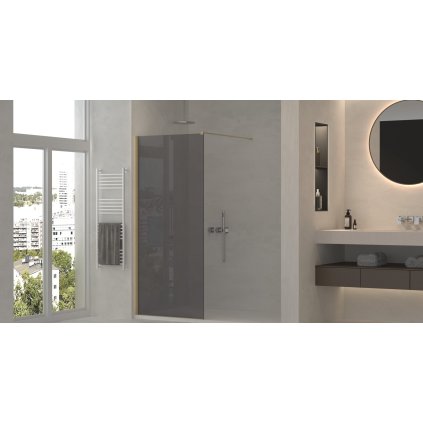 ErgaParisWalkInGreyGlass8mm 1