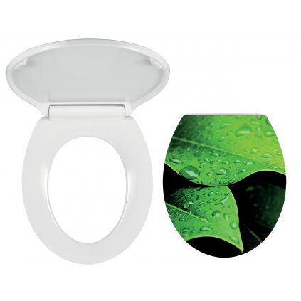 wc soft nature