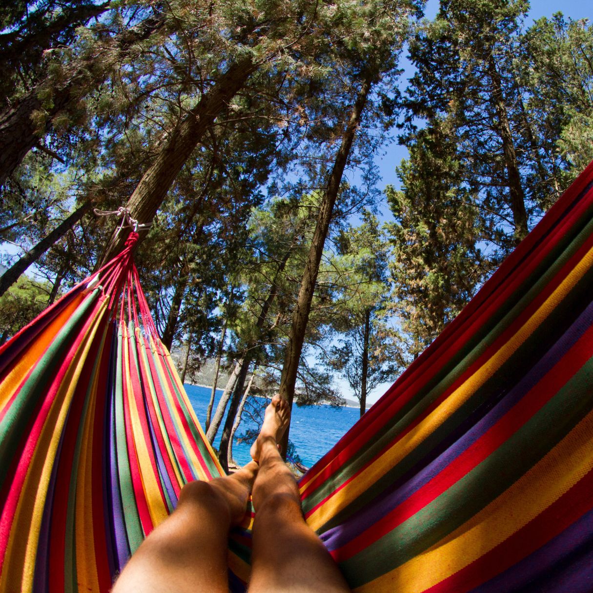 Bluegarden, závesná hojdacia sieť s drevenou oporou pre 1 osobu 90x200cm Hammock 400257, žltá, OGR-09033