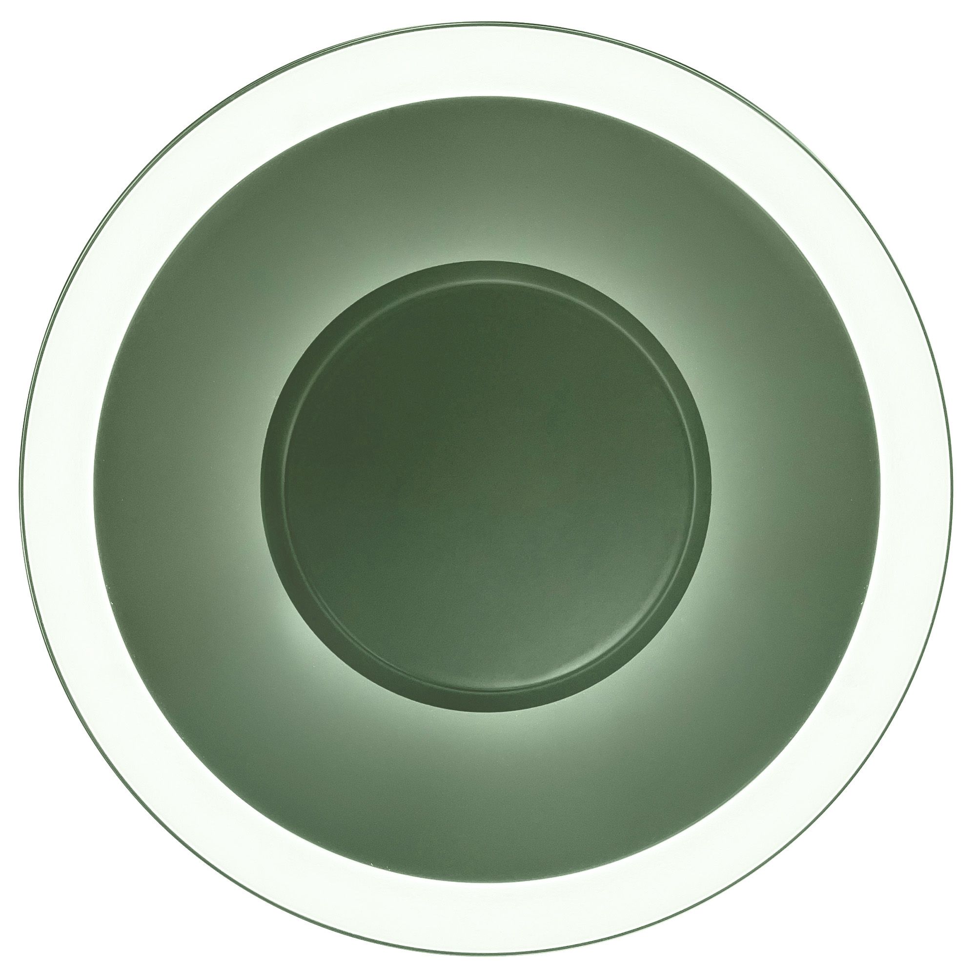 Toolight, LED stropné svietidlo 40cm, 14W, APP1460, zelená, OSW-04188