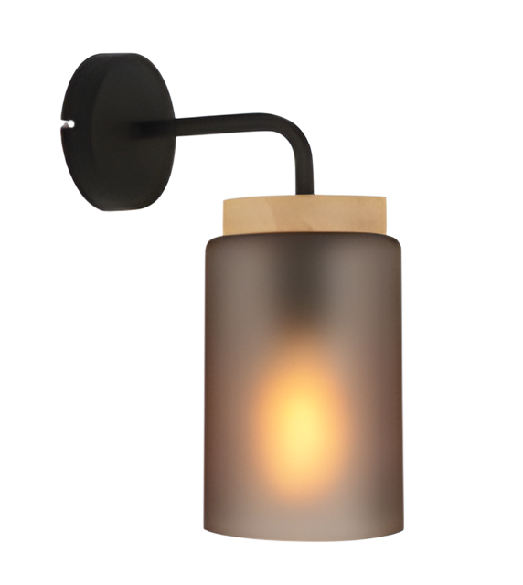 Toolight, nástenné svietidlo 1xE27, APP1814-1W, čierna-dymové sklo, OSW-00664