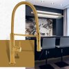 Gamma Mega, vysoká kuchynská batéria s elastickým ramenom a spŕškou, zlatá lesklá, GMA-BFL-GD