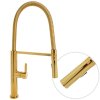 Gamma Mega, vysoká kuchynská batéria s elastickým ramenom a spŕškou, zlatá lesklá, GMA-BFL-GD