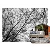 Tutumi Nature 4D, plyšový koberec vzor: čierne stromy 140x200 cm, SHG-09009