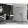Mexen Kioto, sprchová zástena Walk-In 155 x 200 cm, 8mm číre sklo, zlatý lesklý profil, 800-155-002-50-00
