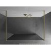 Mexen Kioto, sprchová zástena Walk-In 120 x 200 cm, 8mm sklo vzor zrkadlo, zlatý matný profil, 800-120-002-55-50