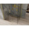 Mexen Omega, sprchovací kút s posuvnými dverami 100 (dvere) x 90 (stena) cm, 8mm sklo, zlatý profil-číre sklo, 825-100-090-50-00