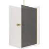 CERANO - Sprchová zástena Walk-in Onyx Top L/P - guľatá vzpera - zlatá kartáčovaná, grafitové sklo - 120x200 cm, CER-CER-8050BD1437