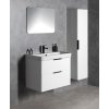Aqualine, DENEB umývadlová skrinka 60,5x55x34,5cm, biela matná, DN264