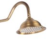 Rea Bergamo, sprchový set v retro štýle, antická bronz, REA-P5002