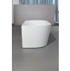 ErgaNorahFreestandingBathtub 1