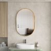 ErgaOvalMirror60x90cmGoldFrame 1
