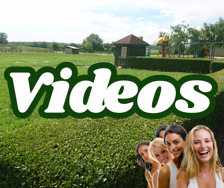 Videos zur Wunderhecke