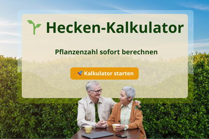 Heckenpflanzen Rechner