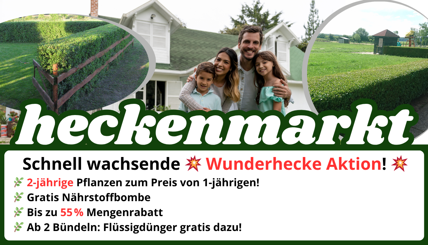 heckenmarkt-wunderhecke
