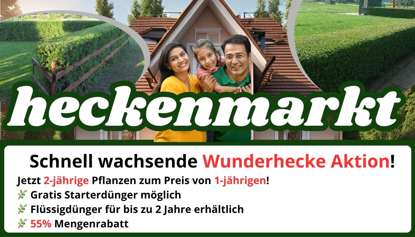 heckenmarkt-wunderhecke