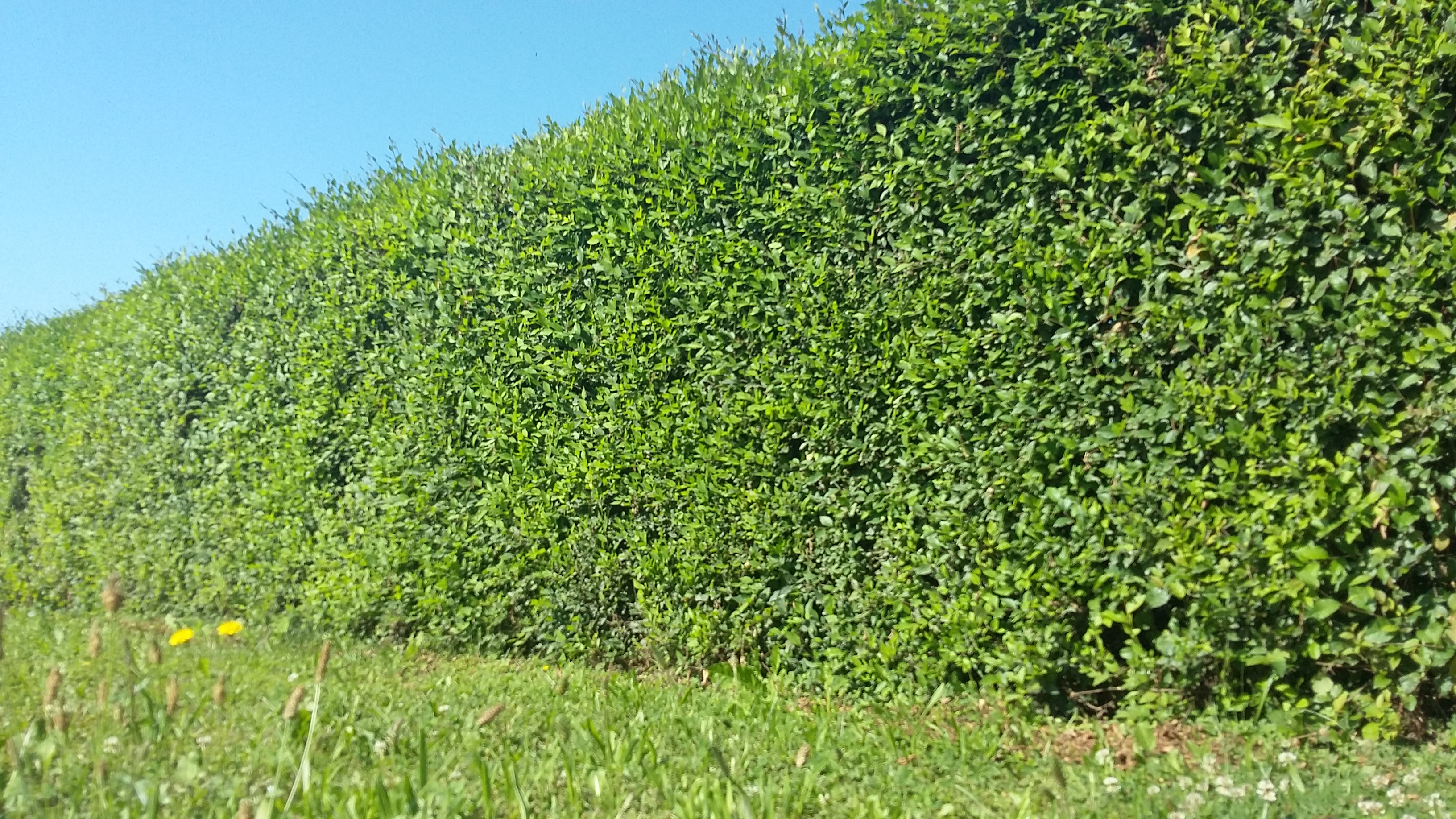 20190716_085714