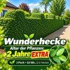 WUNDERHECKE Extra - 10er Set