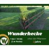 Wunder Hecke 2 Jahre