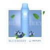 [NUTRISTICK] SALT Mini Blueberry