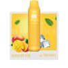 [NUTRISTICK] SALT Mini Mango Ice