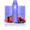 [NUTRISTICK] SALT Mini Mixed Berries
