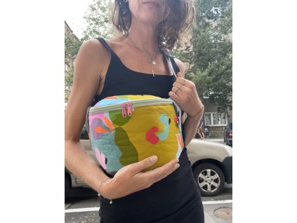 Ledvinka PUGET/klasik