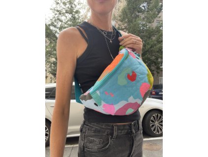 Ledvinka PUGET/klasik