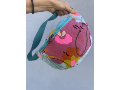 Ledvinka PUGET/klasik