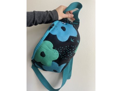 Ledvinka PUGET/flitr