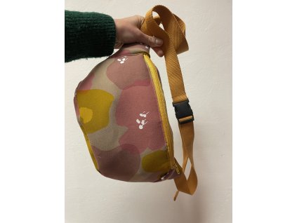 Ledvinka PUGET/klasik