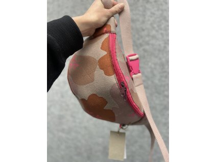 Ledvinka PUGET/klasik