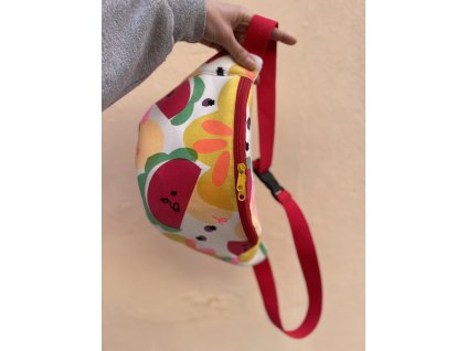 Ledvinka FRUIT/klasik