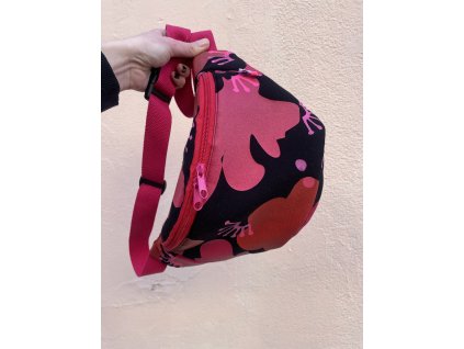 Ledvinka PUGET/klasik