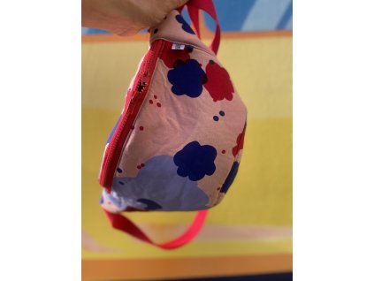 Ledvinka PUGET/klasik