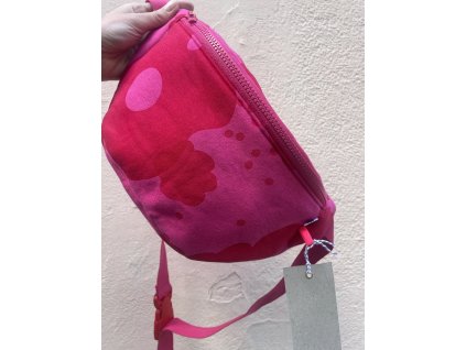 Ledvinka PUGET/klasik