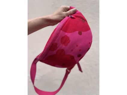 Ledvinka PUGET/klasik