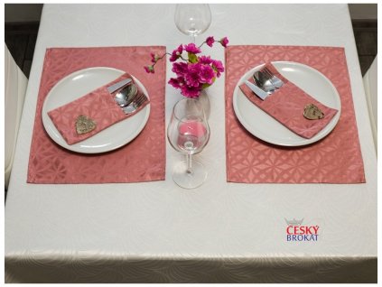 Tablecloth Odaska place setting 30x40 set of 2 pink structures