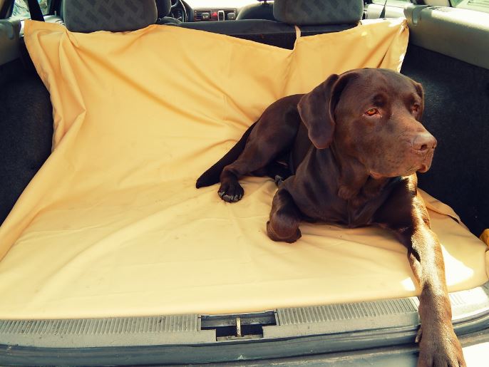 Ochranný potah do auta