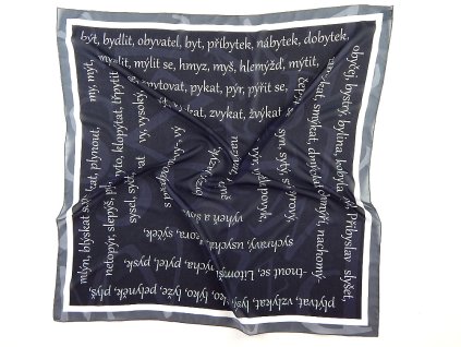 satek skola cesky jazyk vyjmenovana slova 2