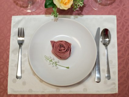 27601340 ubrus odaska prostírání 30x40 set 2ks sedmikrásky smetanová R6272 5