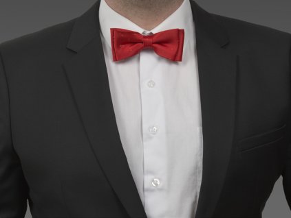 motylek 16 DSC7733 st