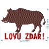 V 041 divocak LOVU ZDAR