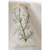 Tablecloth Ospen 50x50 embroidery CHAMOMILE